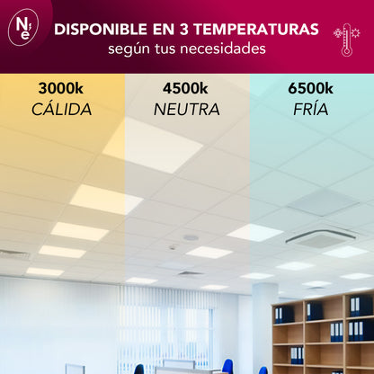 Pack de 6 Paneles LED 60x60 BACK LITE 40W - Luz Fría, Cálida y Neutra | 595x595mm"
